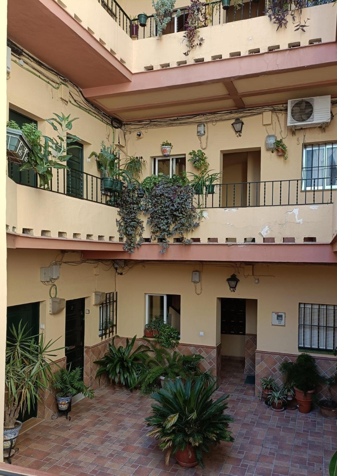 Triana Stay Sevilla Dış mekan fotoğraf